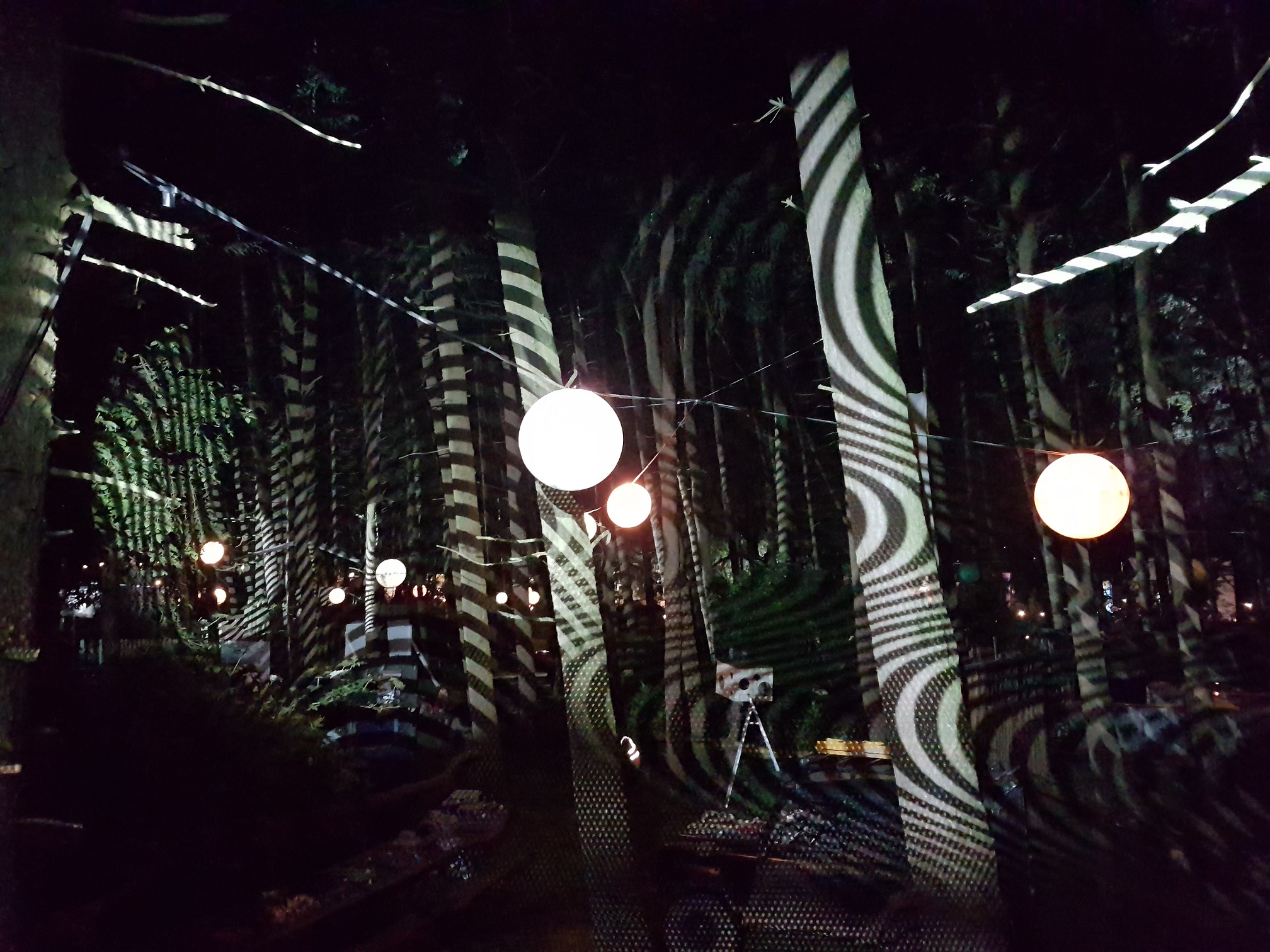 PROJECTION ON TREES BEATHERDER2